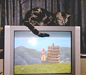 PICT0002.jpg 300263 24K
