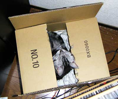 PICT0005-2.jpg 400335 16K